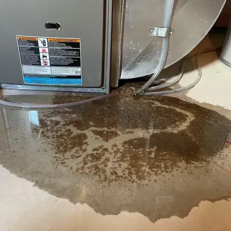 Appliance Leak Cleanup in Silver Lake, OH